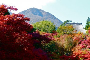 <p>The beauty of autumn colors in Hakone</p>