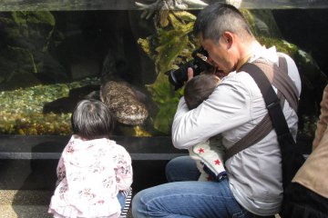 Father with two children took many photos of fish