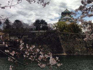 قلعة أوساكا في الربيع