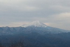 View of Mt Fuji
