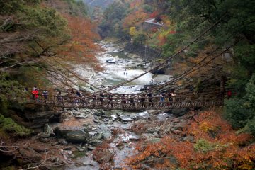 Kazurabashi - Rope Bridge of Iya