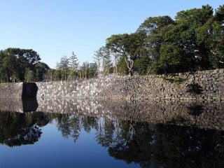 The garden is inside the moat and walls of the former Edo Castle