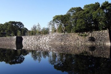 <p>Сад внутри рва и стен бывшего замка Эдо</p>
