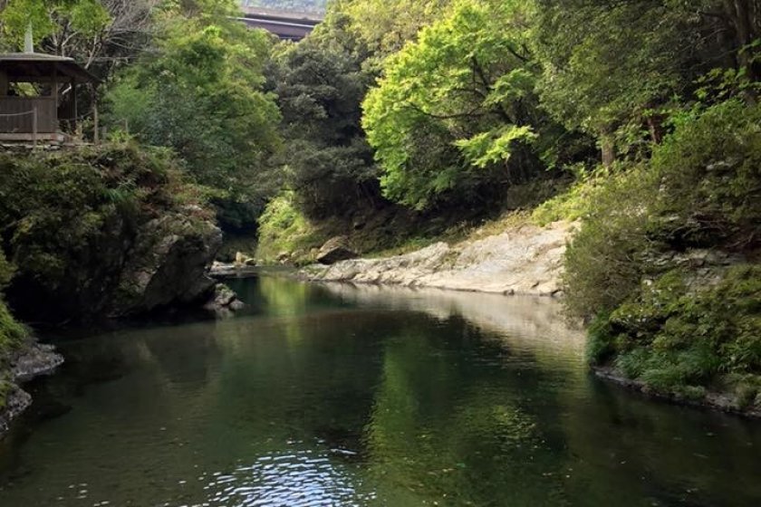 La rivière, à Kiri no Mori