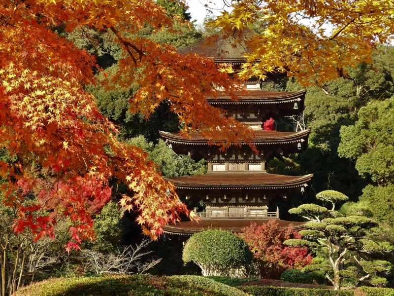 Rurikoji Temple is at its most beautiful in autumn