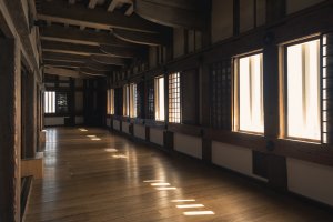 Warm afternoon light shines through windows in a castle hallway