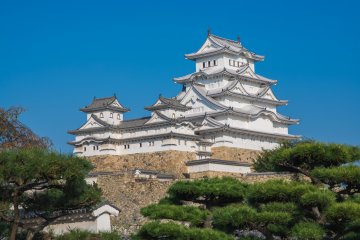 Himeji Castle as seen from an adjacent garden