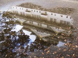 The Castle reflected in a puddle