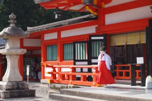 Shrine maiden rushes to work at Hayatama Shrine