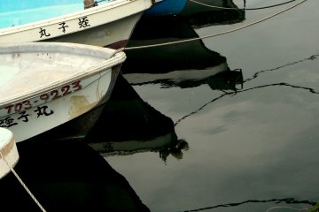 A line of tied-up boats