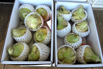 Famously sweet Awaji 'fruit' onions