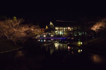 This building is a Kyoto vegetable cuisine restaurant and was just too beautiful with the lights and water