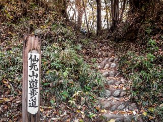 Sau khoảng 15 phút đi bộ, bạn sẽ rời khỏi một khu dân cư yên tĩnh và đến đầu con đường mòn dẫn lên núi Sengen