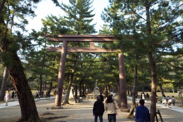 Walkway to Izumo Taisha Grand Shrine