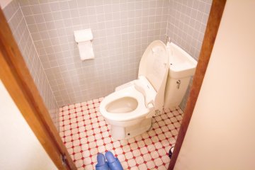 The very clean toilet