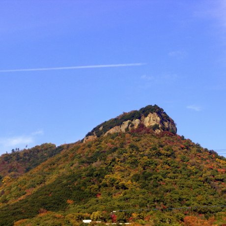 The Yashima Plateau