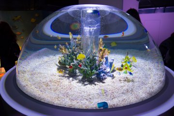 Inside Kaiyukan! Osaka's amazing aquarium