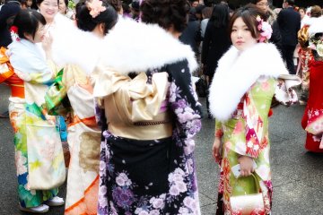 Coming of Age Day at Meiji Jingu 