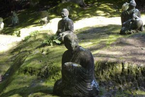 Hundreds of buddha statues on the shady hillside