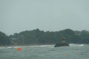 <p>This poor little island in Matsushima Bay has almost completely eroded away.</p>