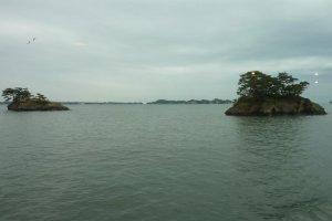 Pine covered islands in Matsushima Bay taken from a cruise boat under overcast skies