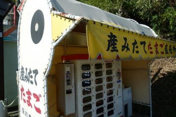 unusual (cute) egg vending machine on roadside