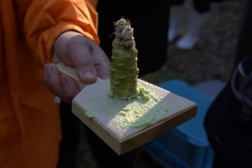 Freshly grated wasabi—the real thing!