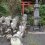 Keizen-ji Temple in Fujieda