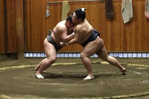 Sumo-Wrestling Training Session