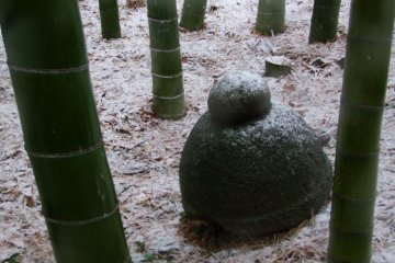 <p>The top of a statue on the ground amongst bamboo trees</p>