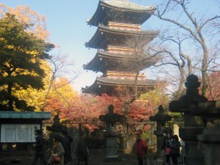Пятиярусная пагода рядом с храмом Уэно Тосёгу