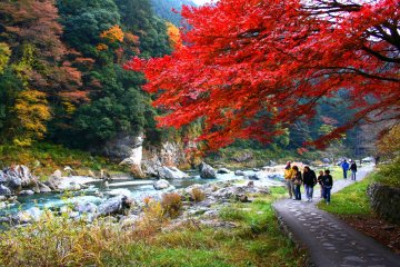 Mitake gorge in Autumn