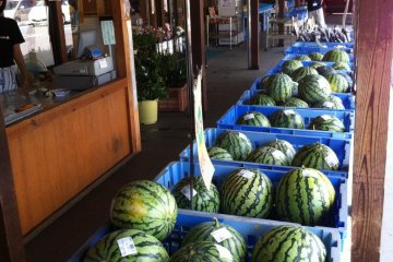 Lots of melons for sale in summer