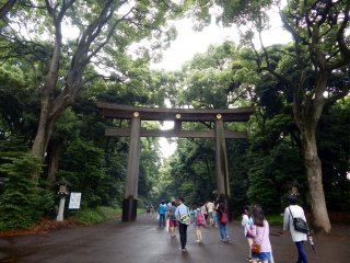 Tại lối vào của đền Meiji-jingu bạn có thể tìm thấy một cổng truyền thống Nhật Bản, còn được gọi là "torii". Đây là một trong những torii lớn nhất tại Nhật Bản.