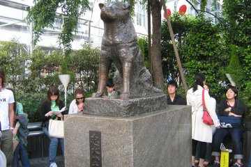 <p>รูปปั้นสุนัขฮาจิโกะอันเลื่องชื่อ</p>