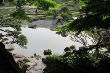 Traditional Japanese garden with a pond