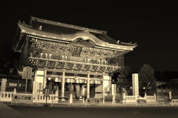 <p>Ворота в храм Наритасан ночью</p>