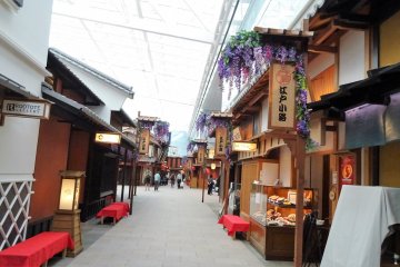 เอโดะ-โคะจิ (Edo-Koji) คือแหล่งช้อปปิ้งและศูนย์รวมร้านอาหาร บนชั้นสี่ของอาคารระหว่างประเทศ