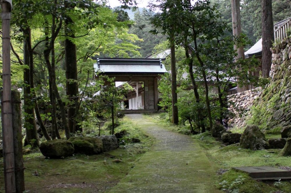 Moss covered grounds surround the temple