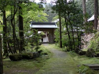 Moss covered grounds surround the temple