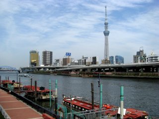 My favorite view with Sky Tree