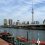 The Sumida Embankment
