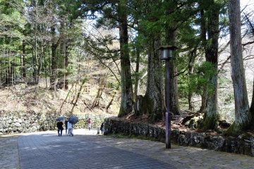 ถนนซุกินะมิ (Suginami) ถนนต้นสนโบราณแห่งเมืองมรดกโลกนิกโกะ ทอดตัวไปสู่ศาลเจ้าโทะโชะกุ