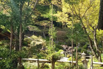 สวนญี่ปุ่นอีกแห่งหนึ่งในวัด พร้อมด้วยห้องสำหรับพิธีชงชา