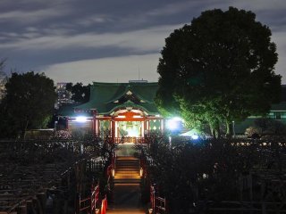 素晴らしい亀戸天神社の夜景