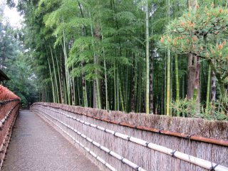 Bamboo grove leads to Kobuntei