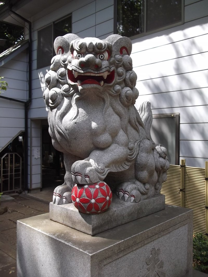 This lion has a ball