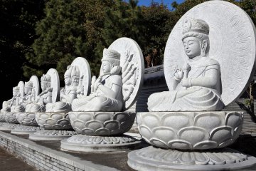 Hundreds of stone Buddha statues fill the compound