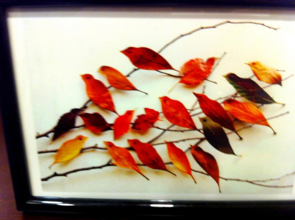 Autumn Leaves that look like birds at the Akita Design Hub and Handicraft Center