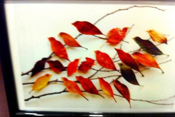 Autumn Leaves that look like birds at the Akita Design Hub and Handicraft Center